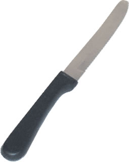 Knife, Steak, Round Tip, Plastic Handle