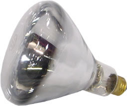 SLI Lighting - 250w Clear Heat Lamp Bulb